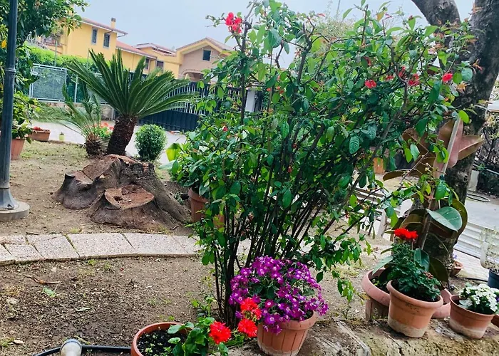 32 Pensión Ciampino